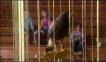 dr dolittle 3-avi_045.jpg